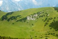 2015-07-03_Sonnjoch (395)b.JPG